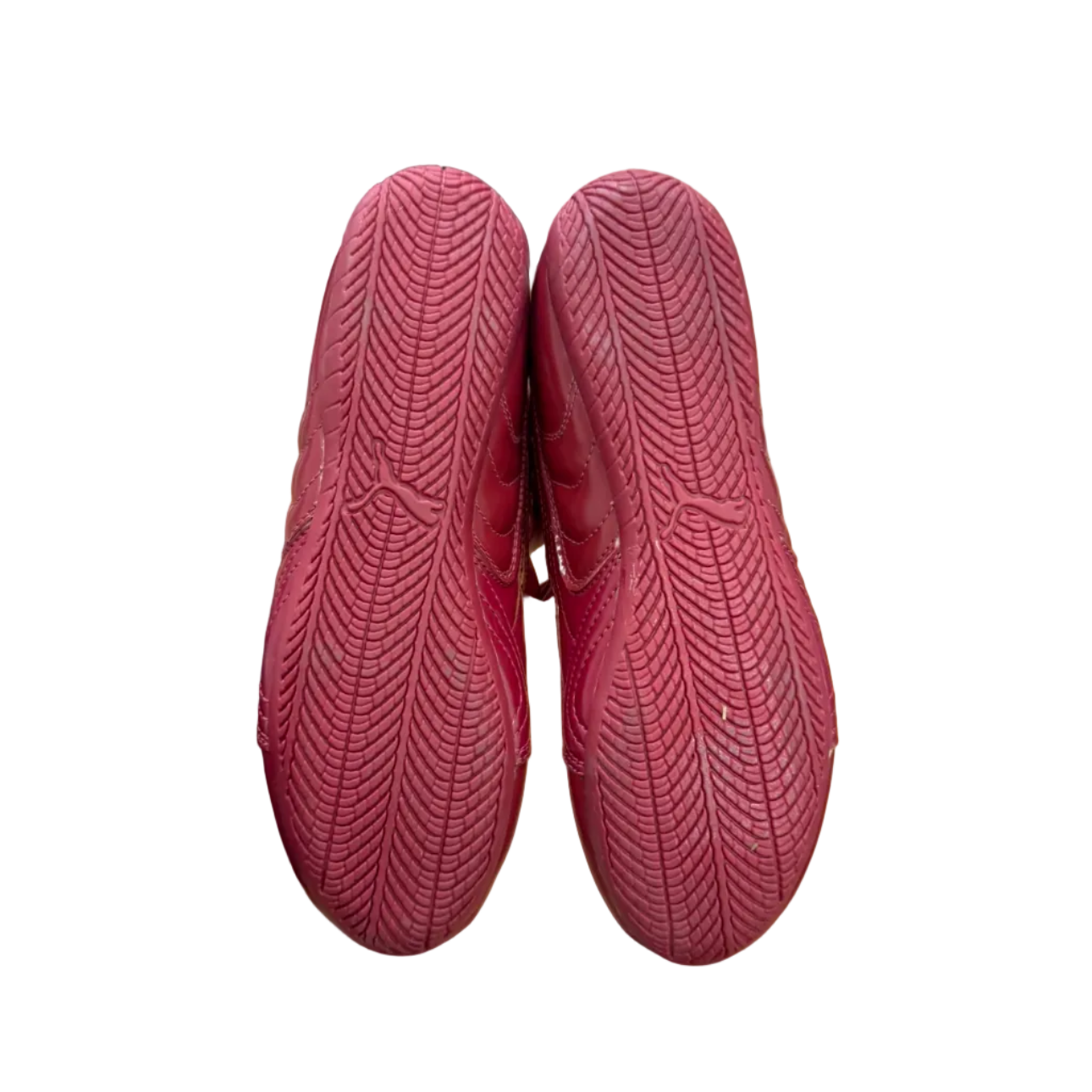 Puma speedcats